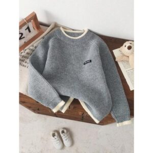 1pc Young Boy Crew Neck Thick Knit Sweater, Embroidered Logo, Casual Knitted Top, Autumn